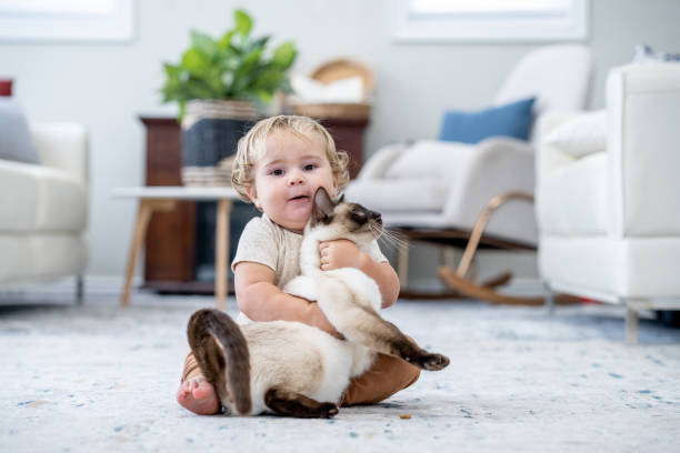 istock Little Boy Hugging His Cat 1883403056