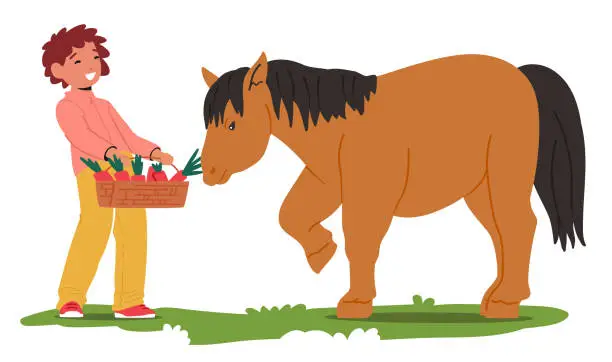 Vector illustration of Joyful Little Boy Character Feeds A Pony With Crunchy Carrots In A Sunlit Summer Field, Creating A Heartwarming Scene