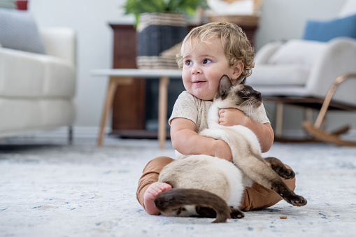 A sweet little 1yr old boy sits on the floor in the living room as he holds his Siamese cat tightly.  He is dressed casually and the two appear content and they sit together.