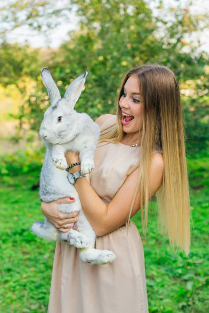 istock Attractive young woman smiling and hugging white rabbit. 1883409792