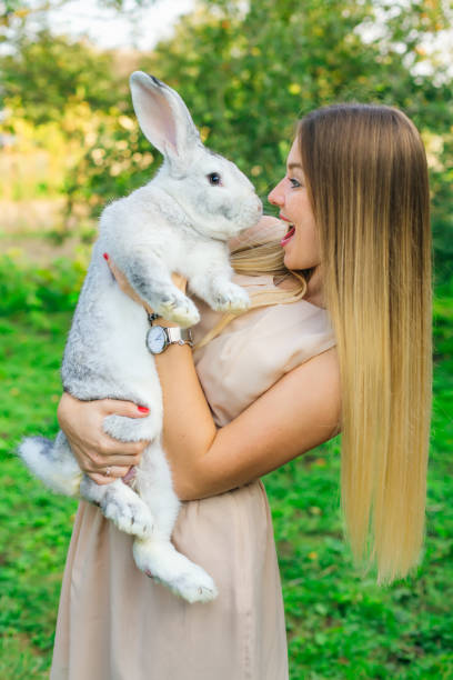 istock Woman is holding rabbit on a farm 1883410883