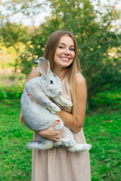 istock Farmer holding white rabbit in spring garden. rabbit sitting in 1883411942