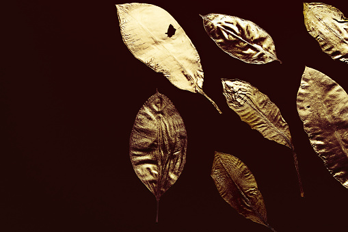 Leaf pattern carved in rusty metal.