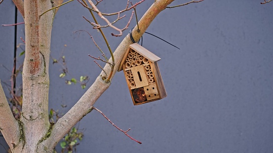 Insect Wooden House Bug Hotel Hanging on Tree Branch