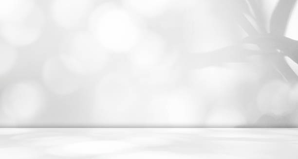 Shadow Background Floor Wall Backdrop Grey Cement Abstract Loft Scene Light white Studio Room Product Gradient Sunlight Window Marble Mockup Loft Minimal Stage Podium Presentation Interior Empty.