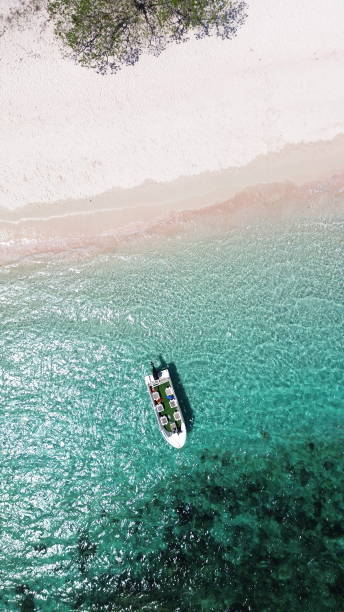 istock Pink Beach Komodo National Park 1883579505