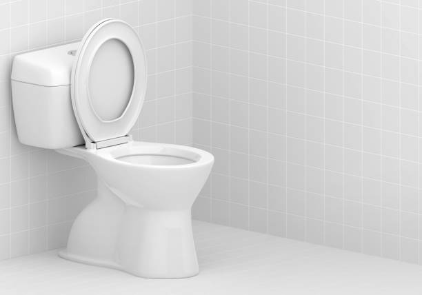 istock Toilet bowl in the bathroom 1883635831