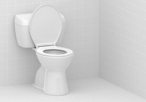 istock Toilet bowl in the bathroom 1883635832
