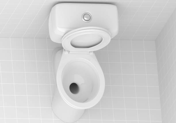 istock Toilet bowl in the bathroom 1883635834