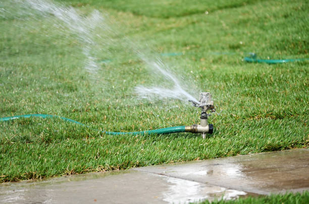 istock Sprinkler on the Grass 1883686160