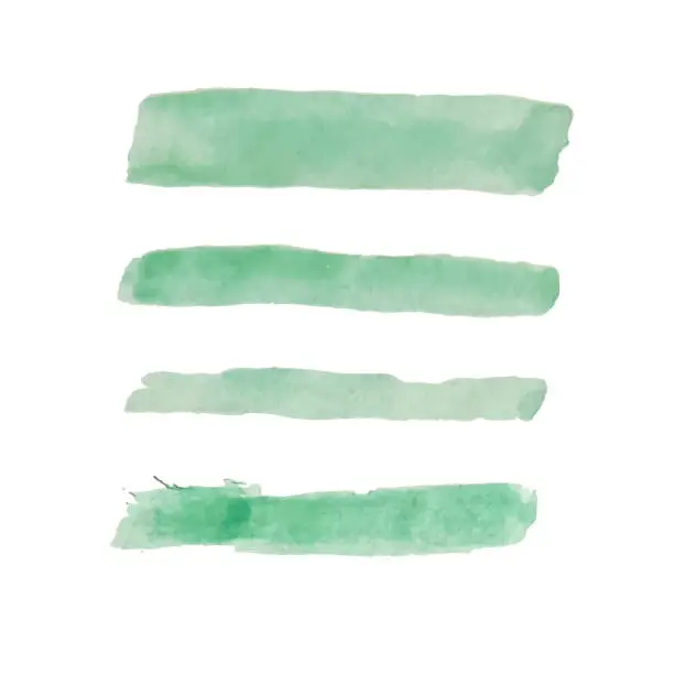 Vector illustration of Green watercolor brushes. Watercolor stains.