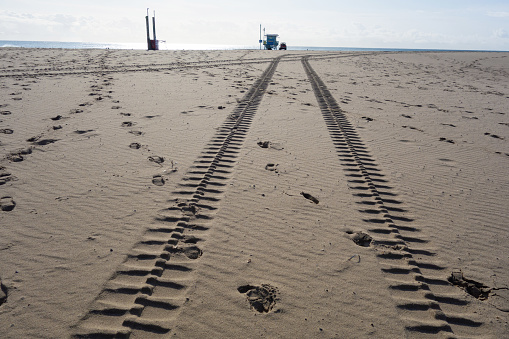 Tire tracks leading to the sea