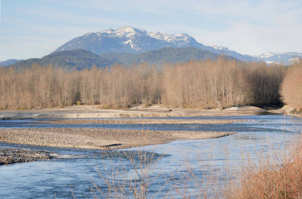 Squamish River during a fall season at the Eagle Run vista point in Brackendale Beautiful view of the Squamish River during a fall season at the Eagle Run vista point in Brackendale, Squamish, British Columbia, Canada. indian summer stock pictures, royalty-free photos & images