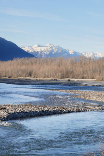 istock Squamish River during a fall season at the Eagle Run vista point in Brackendale 1883892708