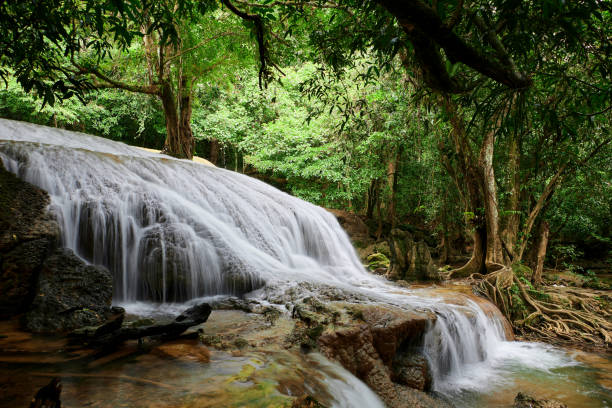 숲속의 폭포의 경치 - tropical rainforest thailand root waterfall 뉴스 사진 이미지