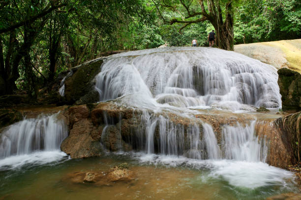 malowniczy widok na wodospad w lesie - tropical rainforest thailand root waterfall zdjęcia i obrazy z banku zdjęć