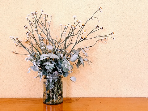 Horizontal photo of a bunch of blue Eucalyptus leaves and Australian Paper Daisies in a glass vase on a wooden bench. Pastel pink wall background.