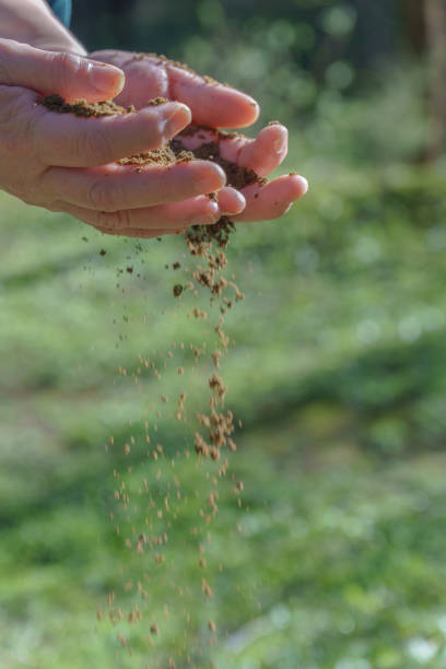 istock woman's hands spilling sand between her fingers 1884133394
