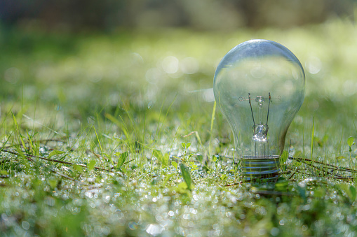 Light bulb in the field on a meadow of green grass with dewdrops illuminated by sunlight renewable energy and nature conservation concepts