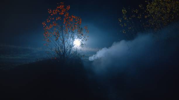 istock Tree against the backdrop of a shining spotlight 1884204117