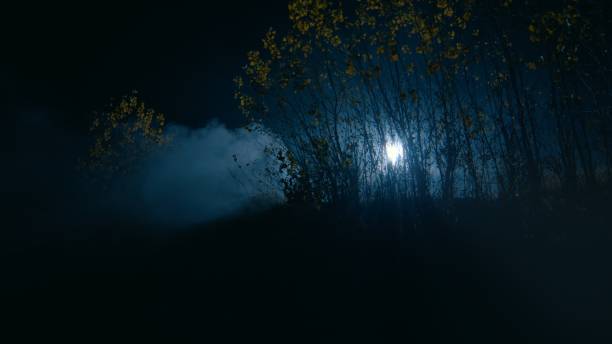 istock Spotlight shining through the bushes and smoke 1884204119
