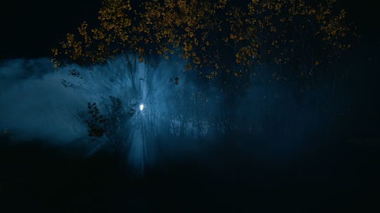 Smoke in the autumn night forest