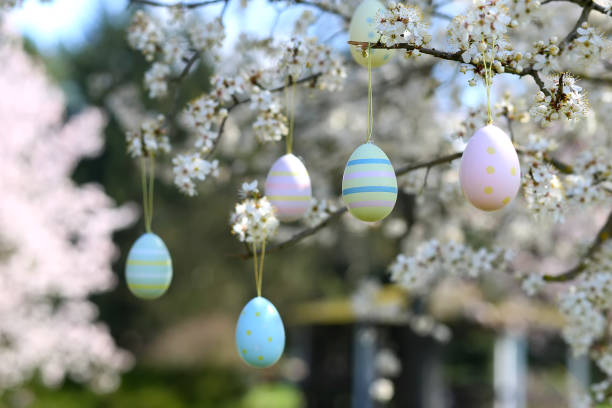 istock colorful easter eggs hanging on blooming plum tree branches outdoor in park or garden 1884238353