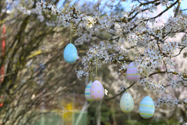 istock colorful easter eggs hanging on blooming plum tree branches outdoor in park or garden 1884238354