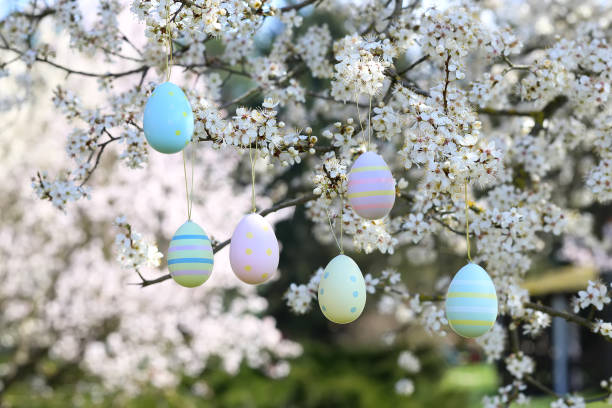 istock colorful easter eggs hanging on blooming plum tree branches outdoor in park or garden 1884238355