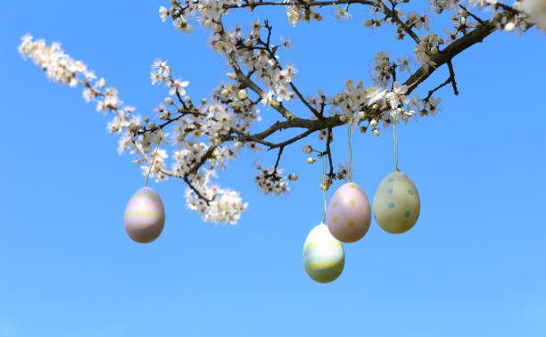 istock colorful easter eggs hanging on blooming plum tree branches outdoor in park or garden 1884238364