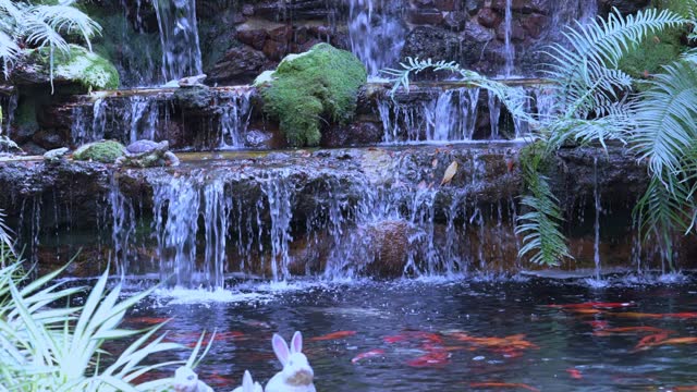 A small waterfall in the garden and koi fish swimming in the pond.