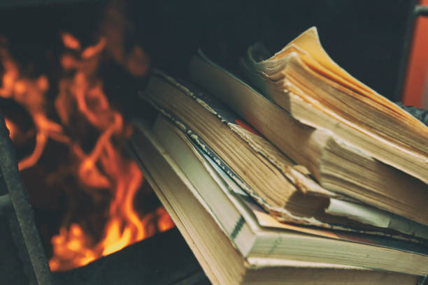 istock Man loads the old books in the solid fuel boiler in the boiler room. Solid fuel and heating concept 1884240939