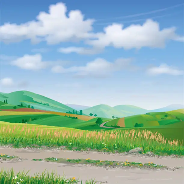 Vector illustration of Landscape with agricultural hills and footpath