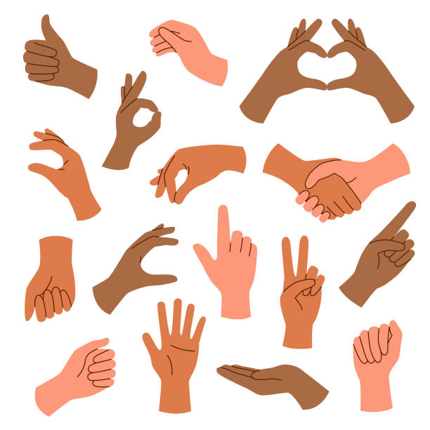 9 100+ Finger Heart Gesture bildbanksillustrationer, royaltyfri ...