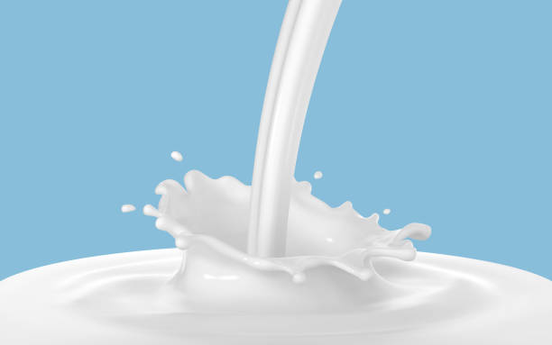 istock Milk splash isolated on blue background. Natural dairy product, yogurt or cream in crown splash. Realistic vector illustration 1884375518