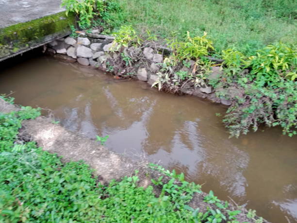 istock Small canal or stream  in a rural area 1884416078