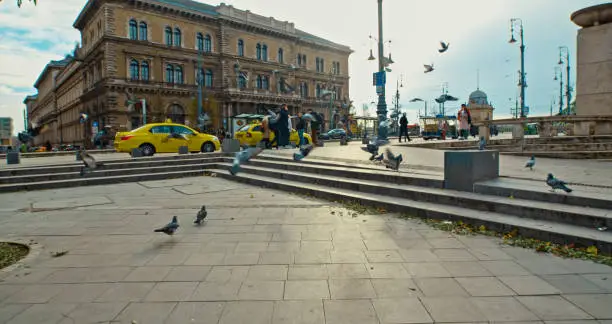 Urban Serenity,Pigeons Gracefully Flying at a Town Square with a Historic Building in the Background in Budapest,Hungary. The Scene Captures the Tranquil Beauty of the City's Public Spaces