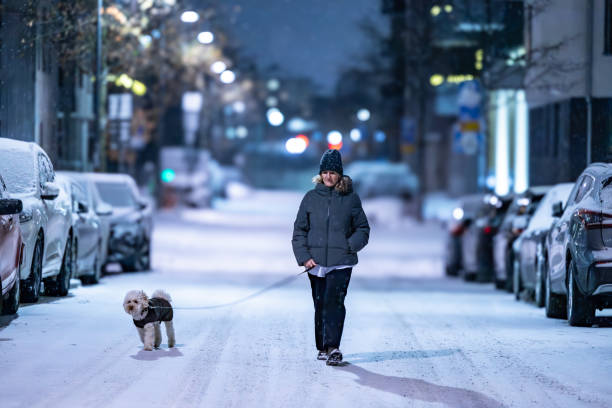istock Stockholm, Sweden 1884469979