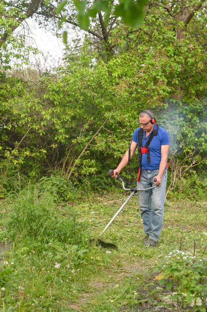 process of lawn trimming with hand mower. - electric trimmer foto e immagini stock