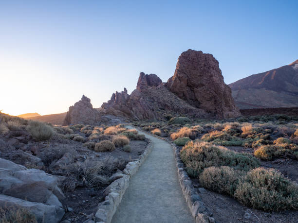 istock Landscape of Teide National Park 1884502511