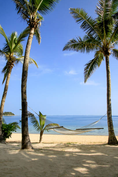 istock Relaxing on the Hammock between the Palm Trees on the Beach Resort 1884517320