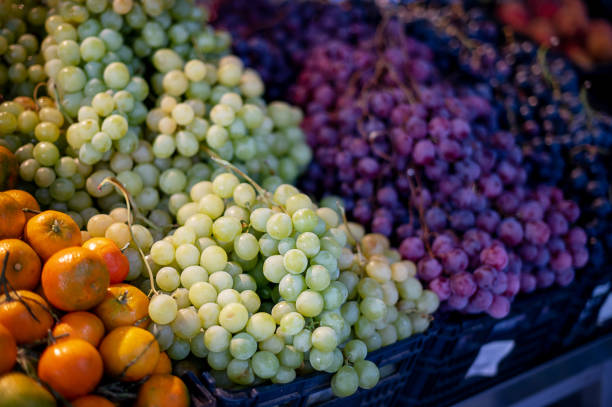 Red and white wine grapes on the market