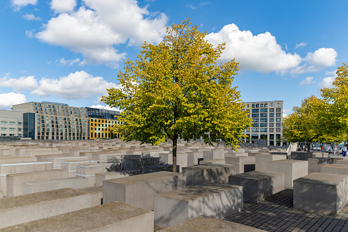 Berlin, Germany - September 24, 2023: A picture of a tree on the Memorial to the Murdered Jews of Europe.