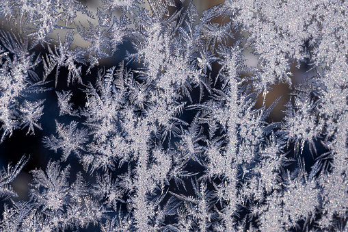 frosty patterns on the window frosty background Ice on a window black white..