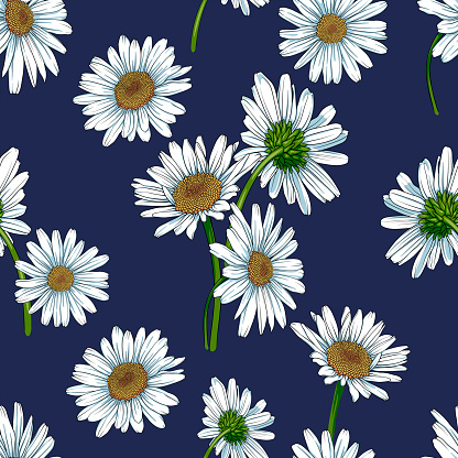 Seamless pattern with daisies, chamomiles, chrysanthemums on a dark blue background. idea for wrapping paper, background or card