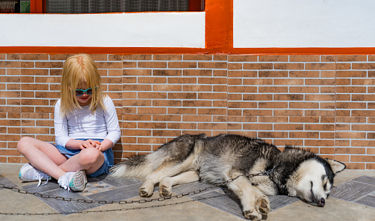 portrait of a girl sitting with her dog while the dog is lying asleep next to her