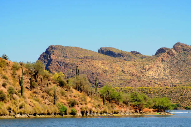 istock Autumn at Saguaro lake in Arizona 1884682619