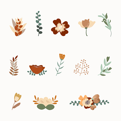 Collection of boho or vintage plants and flowers. Hand-drawing vector design elements. Template for scrapbooking, stickers, planner, invitations. Autumn floral in warm fall tones. Rose, ranunculus.