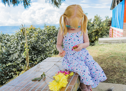 Portrait of a girl with two bows in her hair sitting outdoors while playing with a pair of flowers in deep concentration.