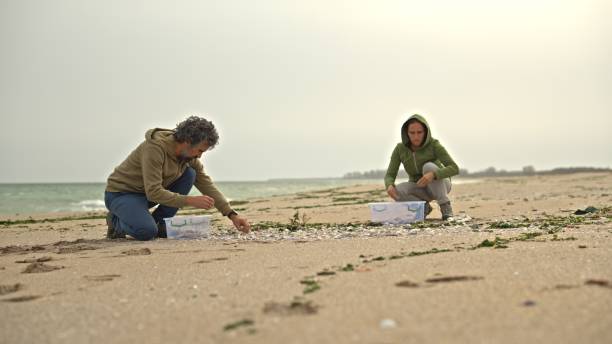 istock Two artists collect shells and stones from the beach. 1884767340